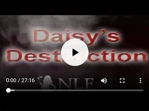 daisy's destruction nfl